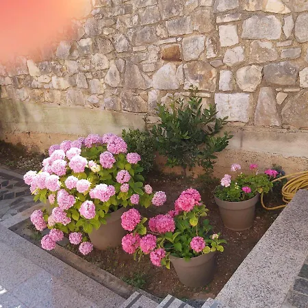 Apartments Ella Rovinj Exterior foto