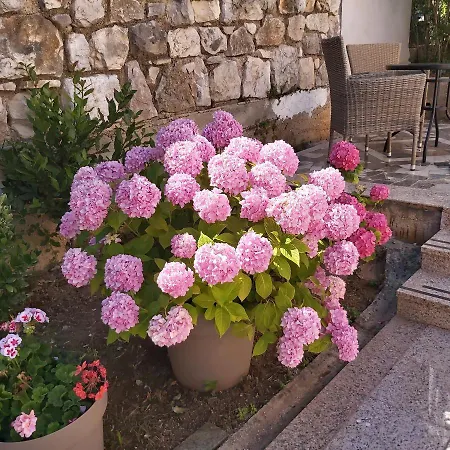 Apartments Ella Rovinj Exterior foto
