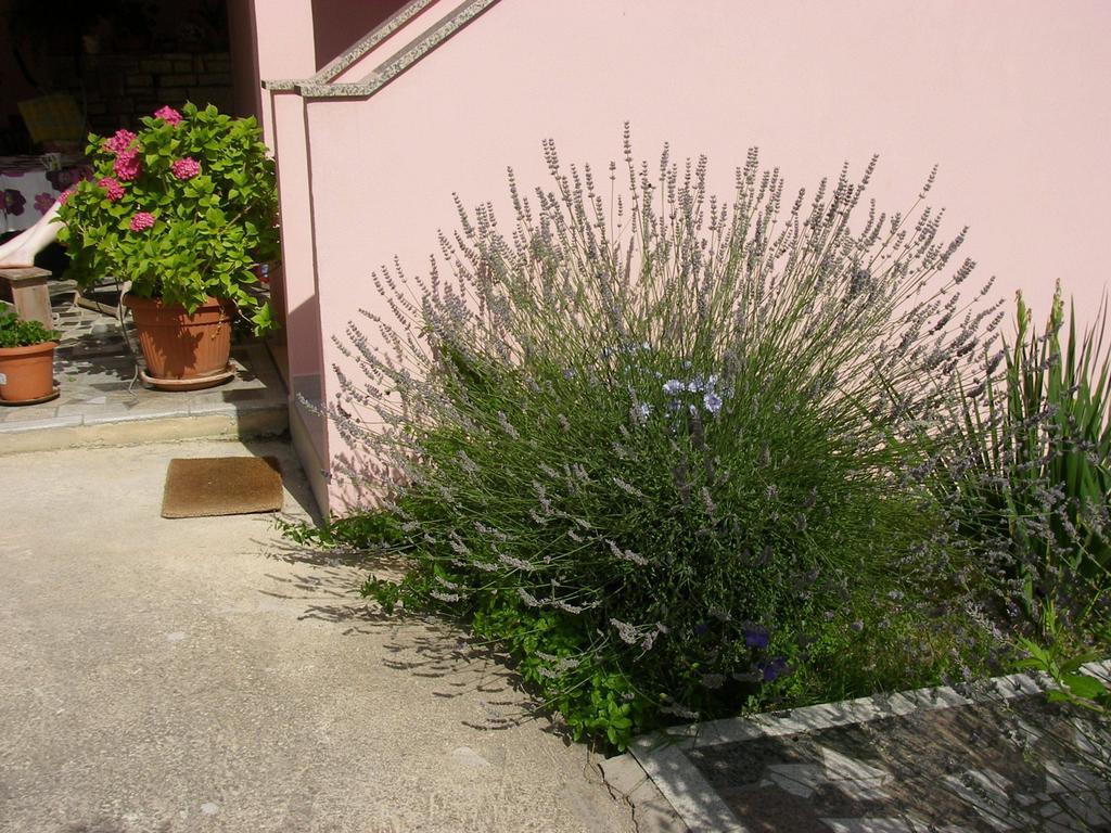 Ella Rovinj