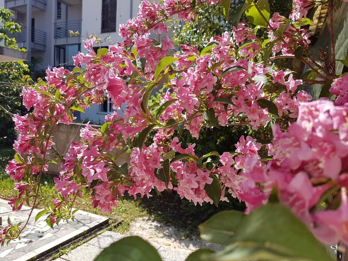 Apartamento Ella *